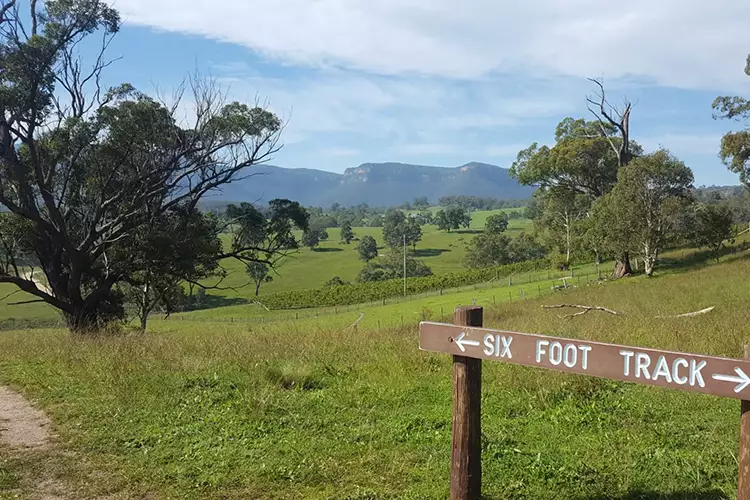 Six Foot Track - Megalong Valley